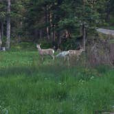 Review photo of Granite Creek Campground by Annie C., July 31, 2019