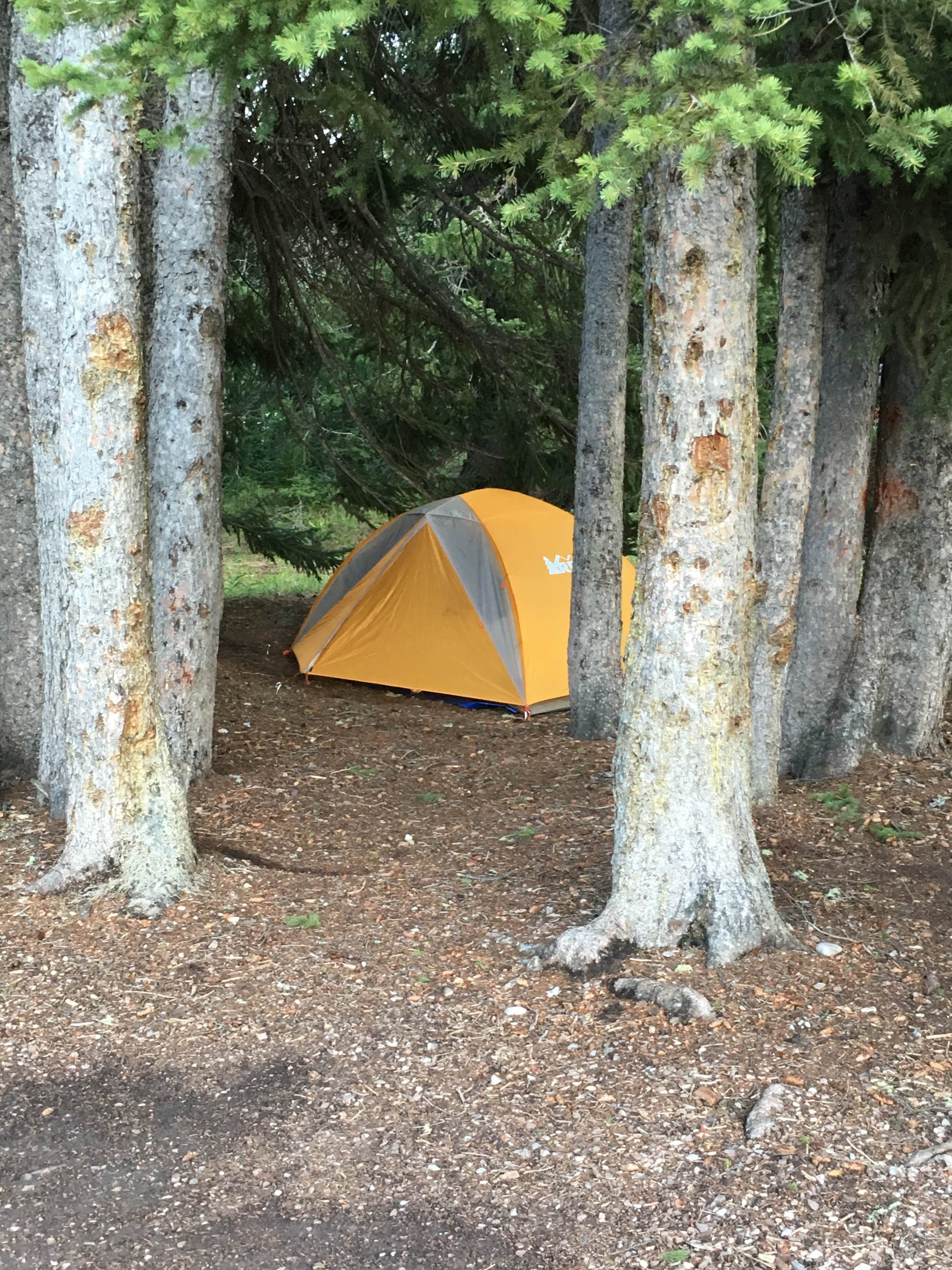 Annie C.'s photo at Granite Creek Campground near Bridger-Teton National Forest