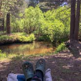 Review photo of Horse Meadow Campground by Allison A., July 31, 2019