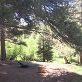 Review photo of Horse Meadow Campground by Allison A., July 31, 2019