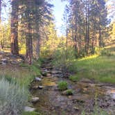 Review photo of Horse Meadow Campground by Allison A., July 31, 2019