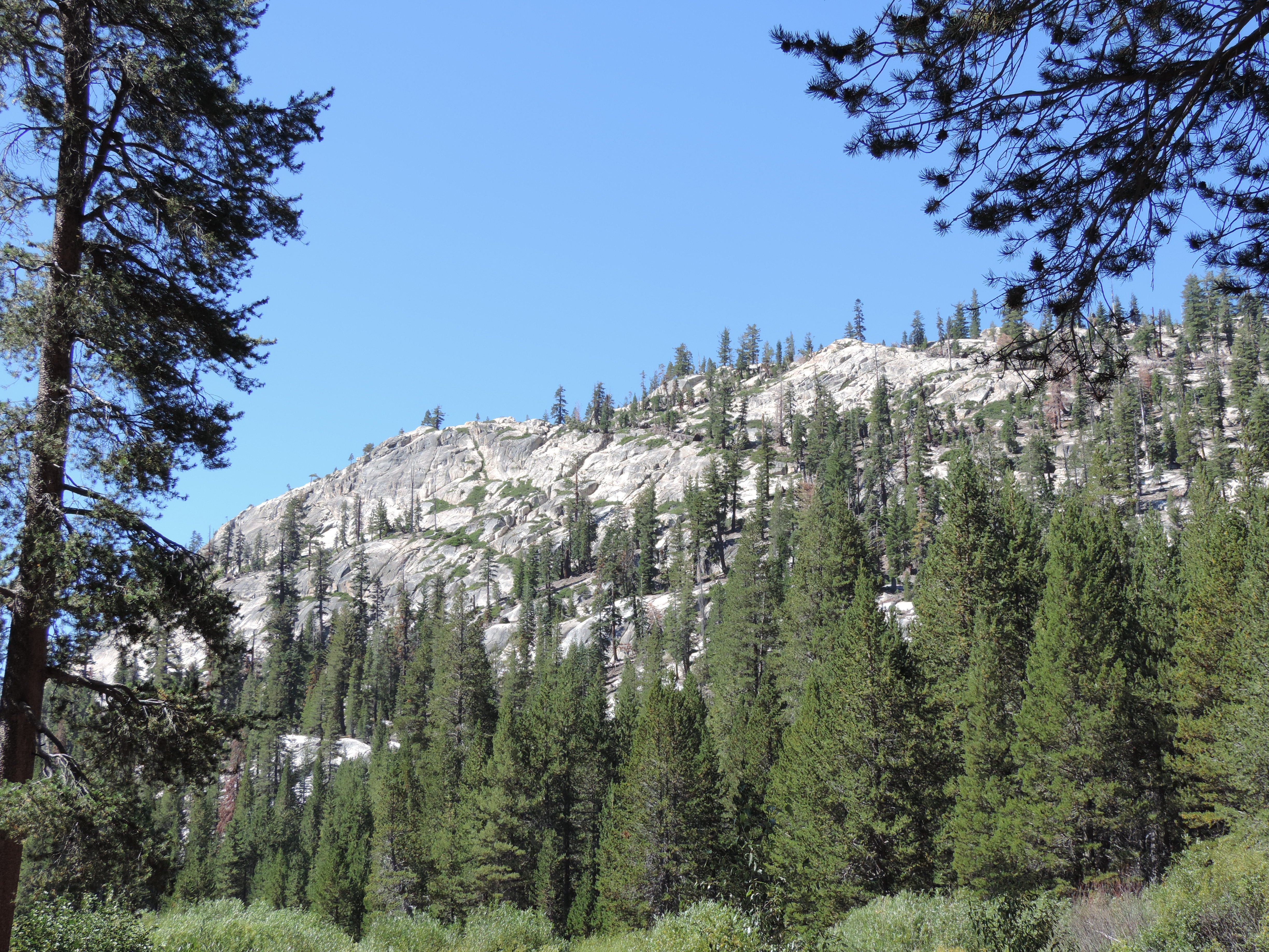 Camper submitted image from Devils Postpile - 2
