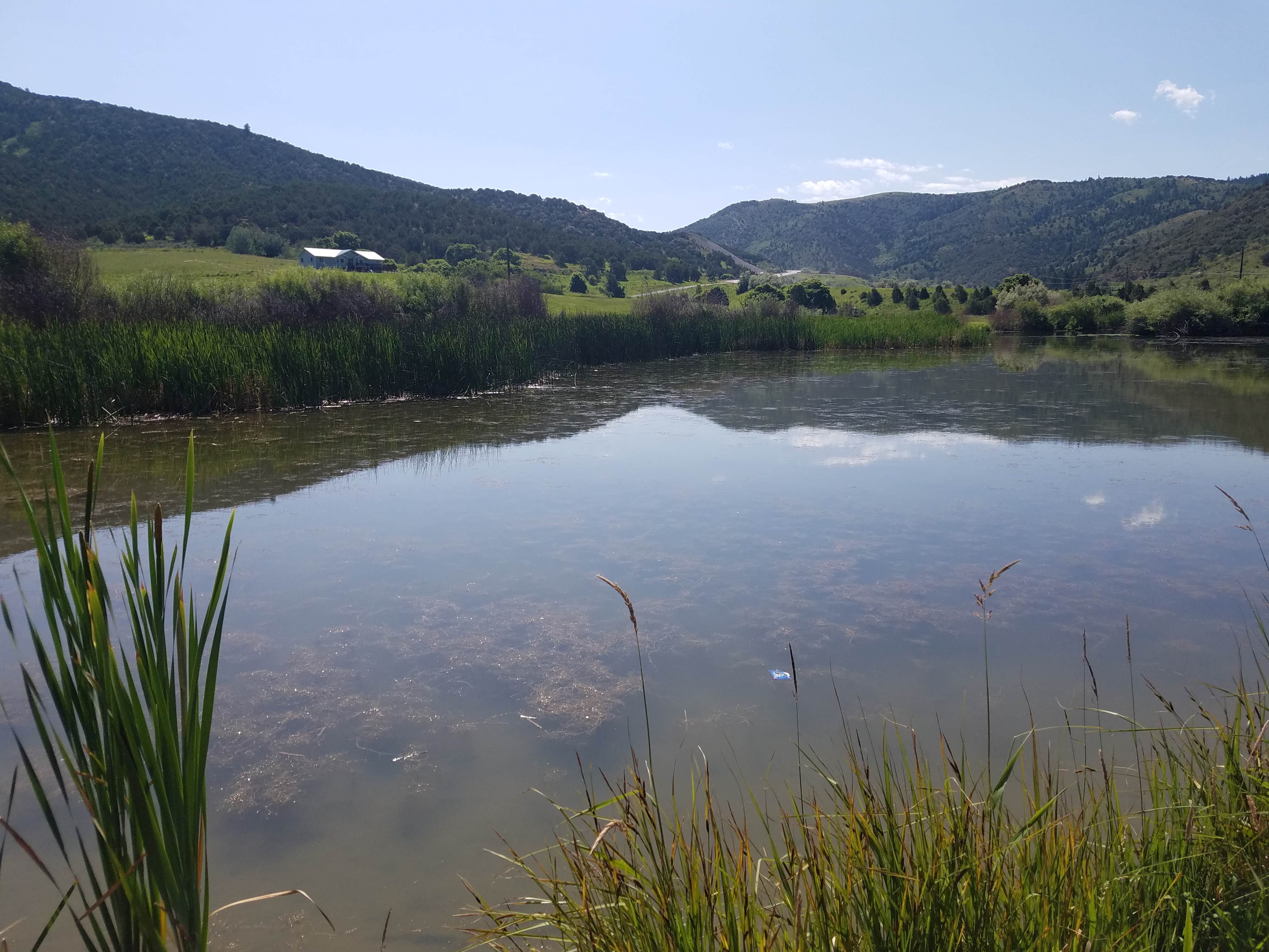 Camper submitted image from Portneuf Bend Campground - 4