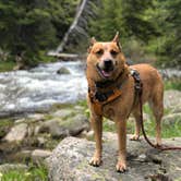 Review photo of Beartooth Lake by Art S., July 31, 2019