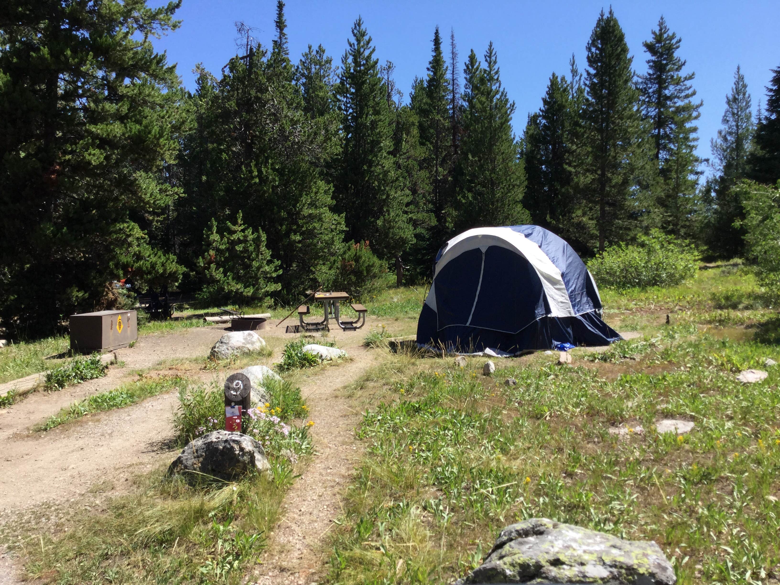 Shannon G.'s photo of tent camping at Jenny Lake Campground — Grand Teton National Park near Felt, ID