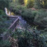 Review photo of Santa Cruz Redwoods RV Resort by Pat F., July 31, 2019