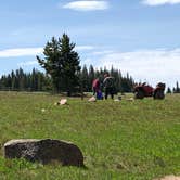 Review photo of Bald Mountain Campground by Art S., July 31, 2019