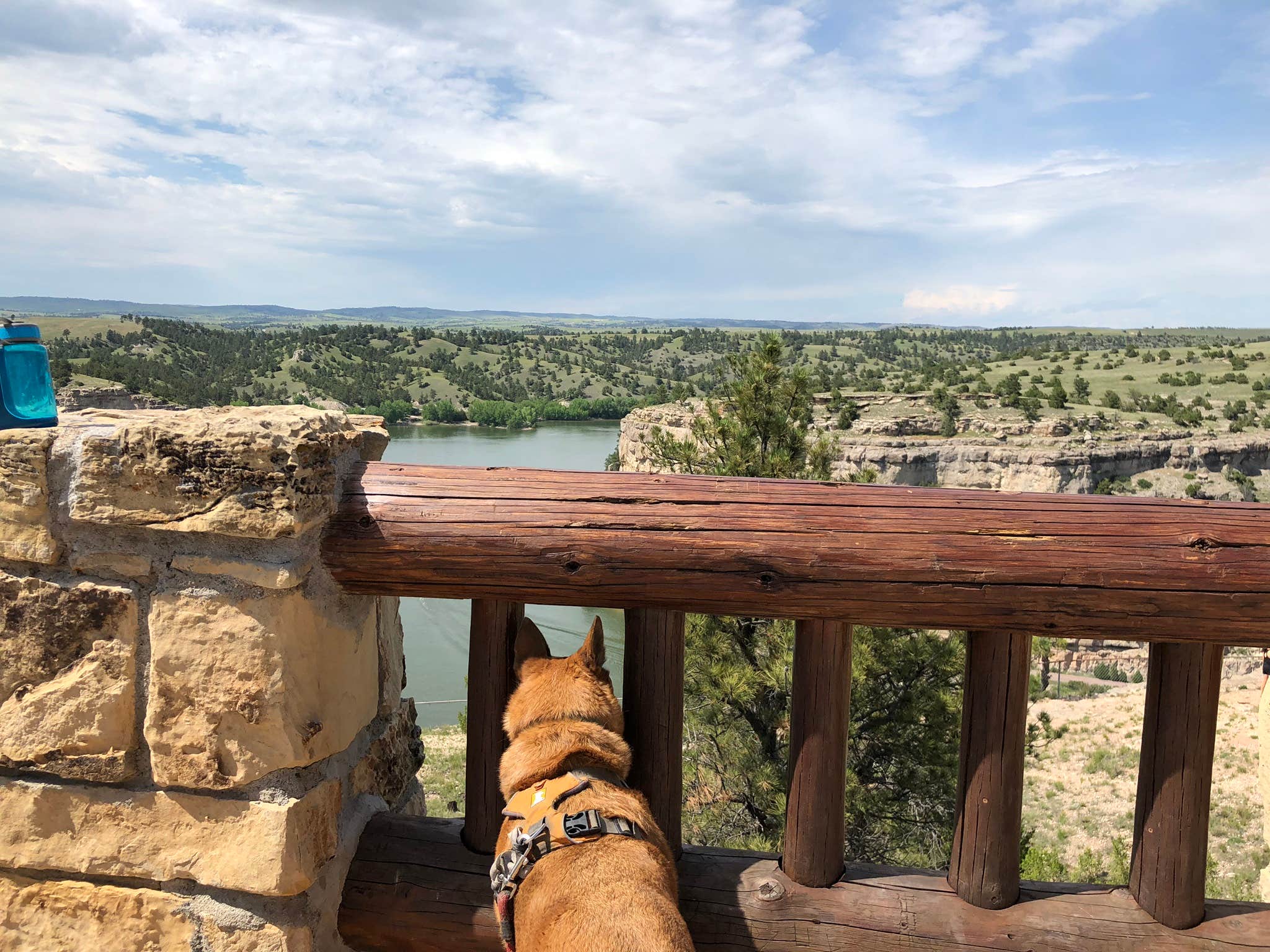 Art S.'s photo of camping with pets at Guernsey State Park Campground near Wheatland, WY