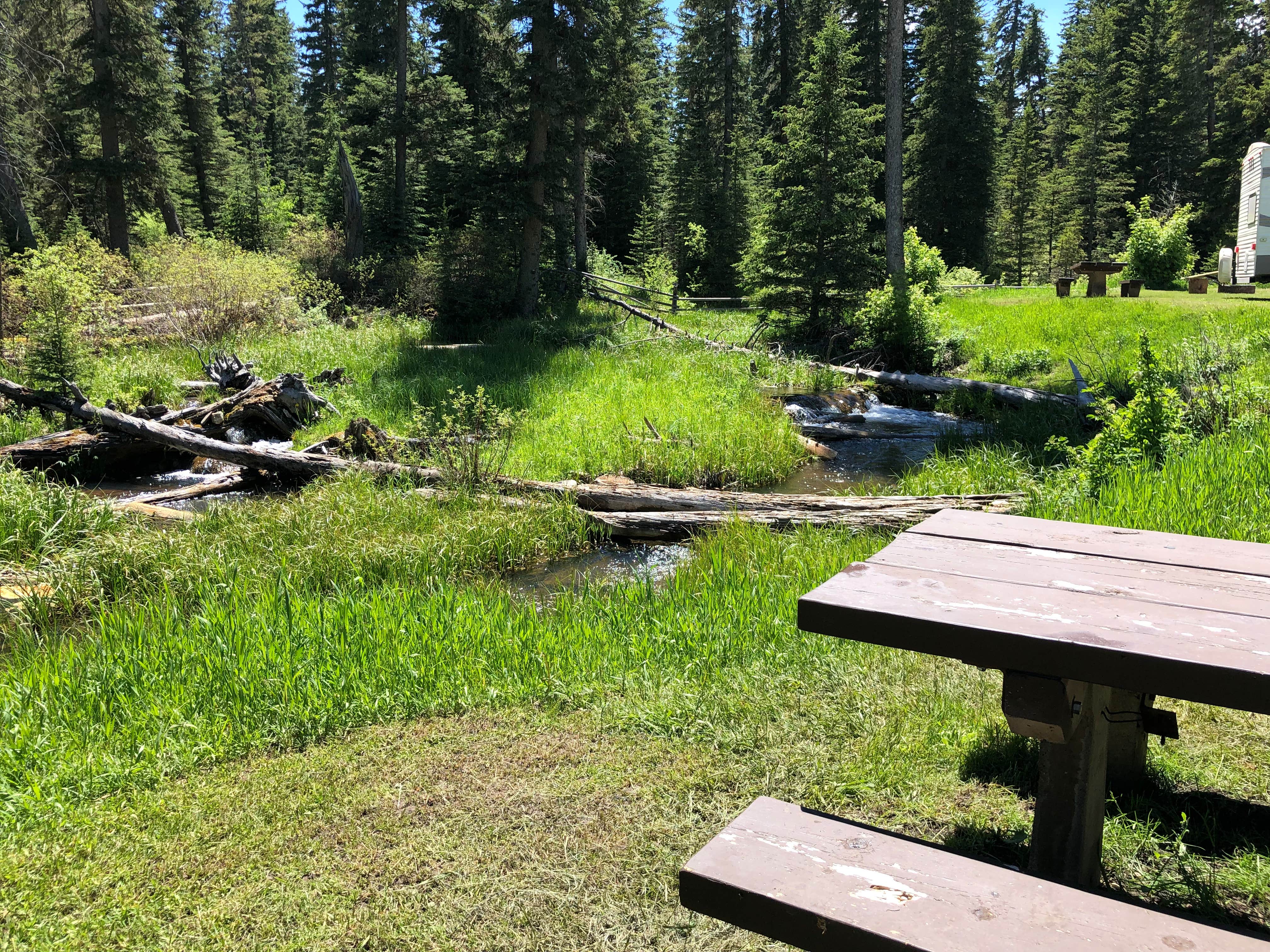 Camper-submitted photo at Black Fox Campground near Lead, SD