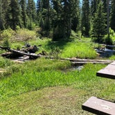 Review photo of Black Fox Campground by Art S., July 31, 2019