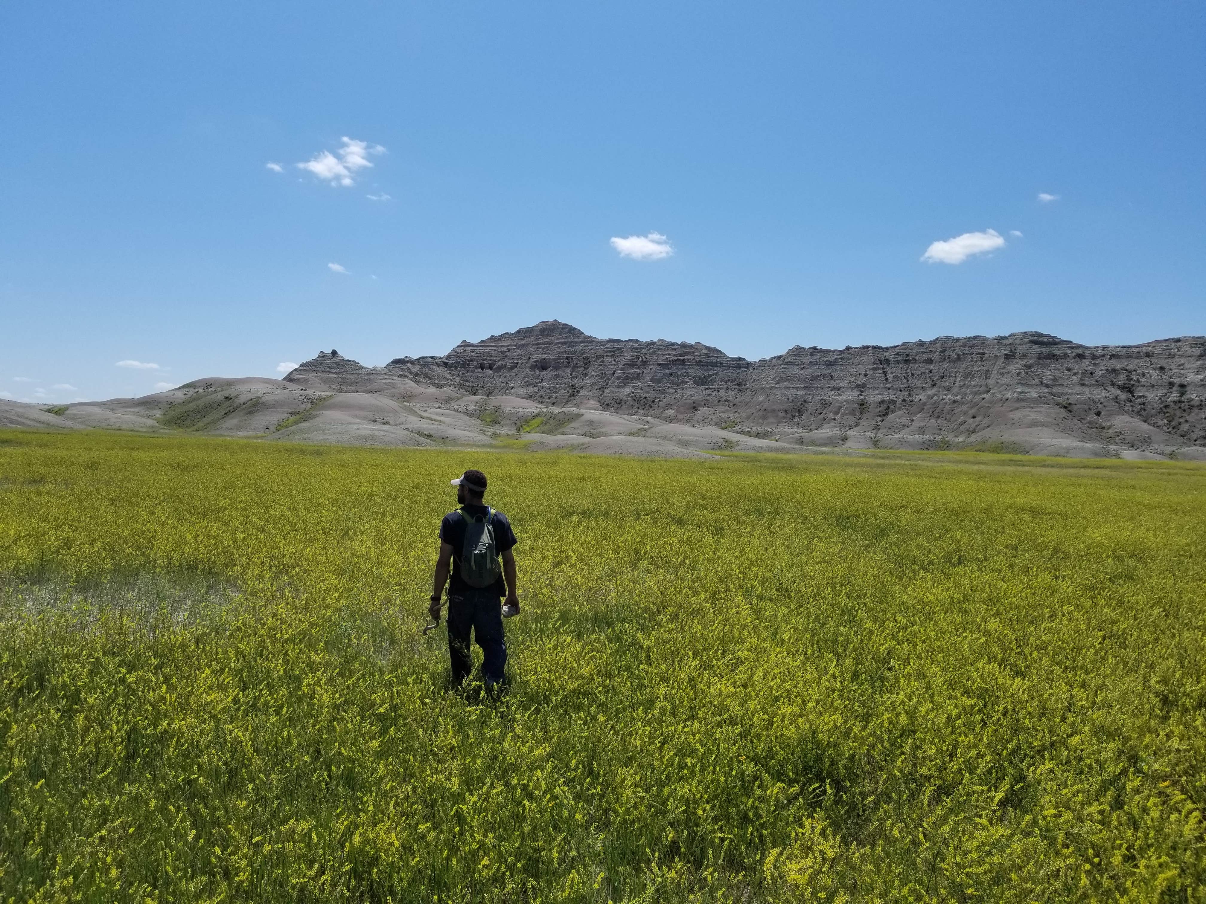 Camper submitted image from Sage Creek Wilderness Area - 3