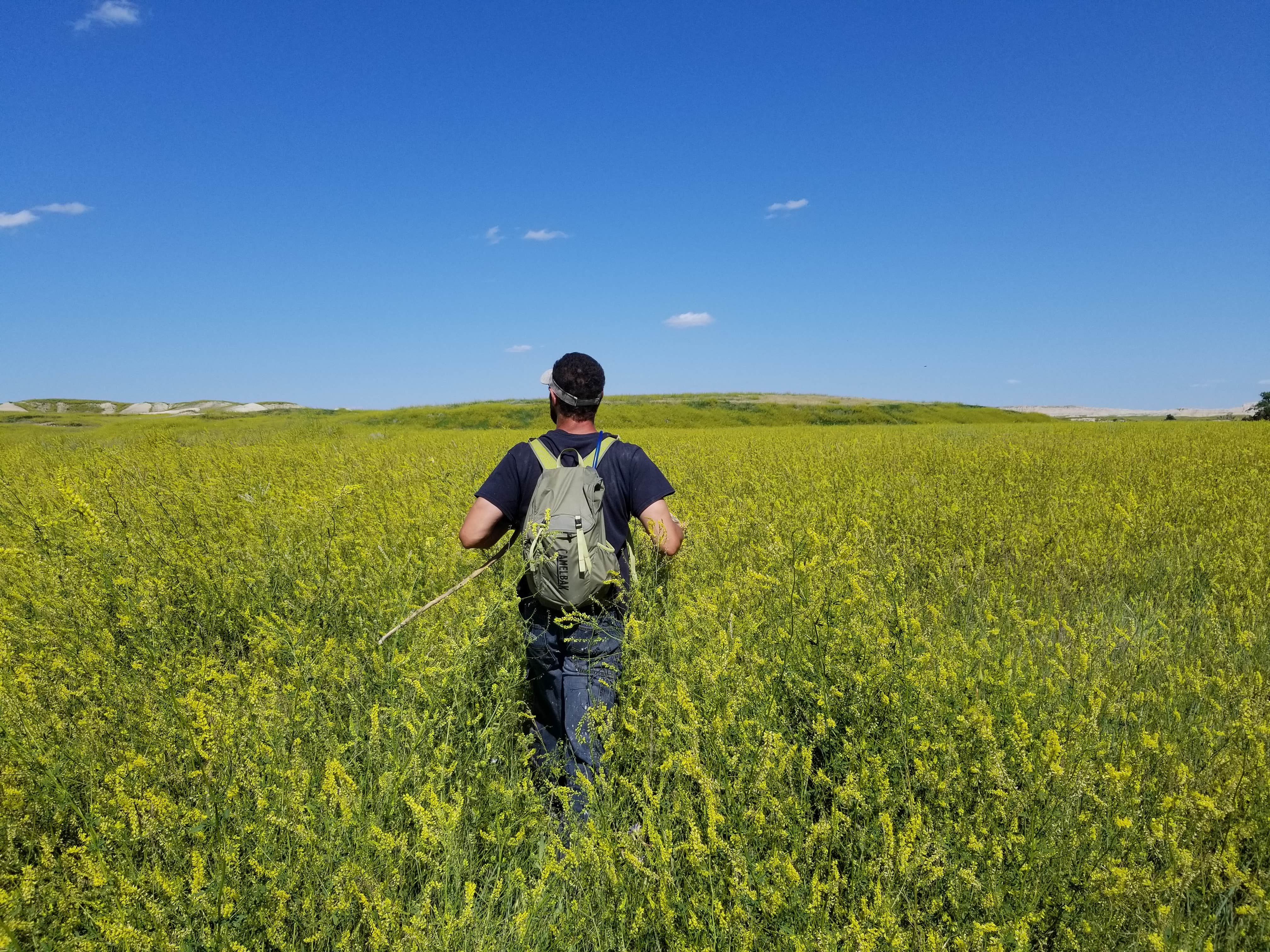 Camper submitted image from Sage Creek Wilderness Area - 2