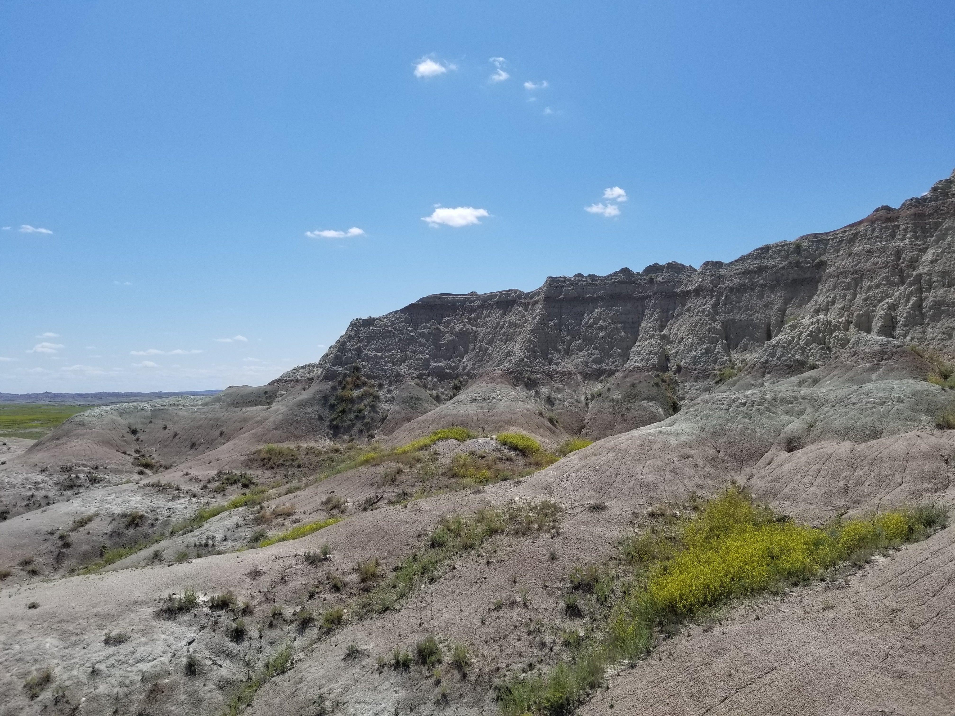 Camper submitted image from Sage Creek Wilderness Area - 1