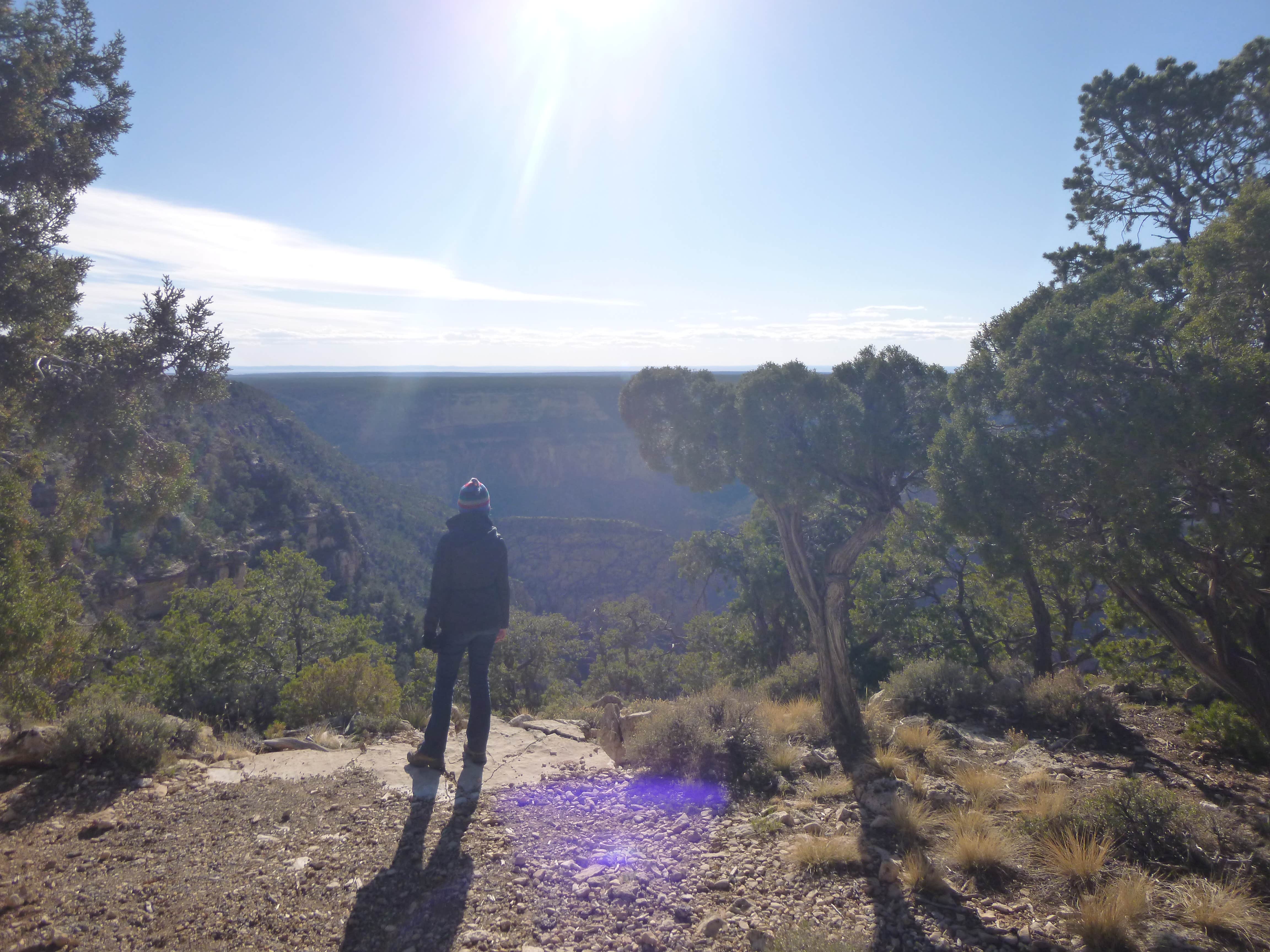Camper submitted image from Desert View Campground — Grand Canyon National Park - 2