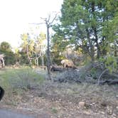 Review photo of Desert View Campground — Grand Canyon National Park by Elliott B., September 23, 2016