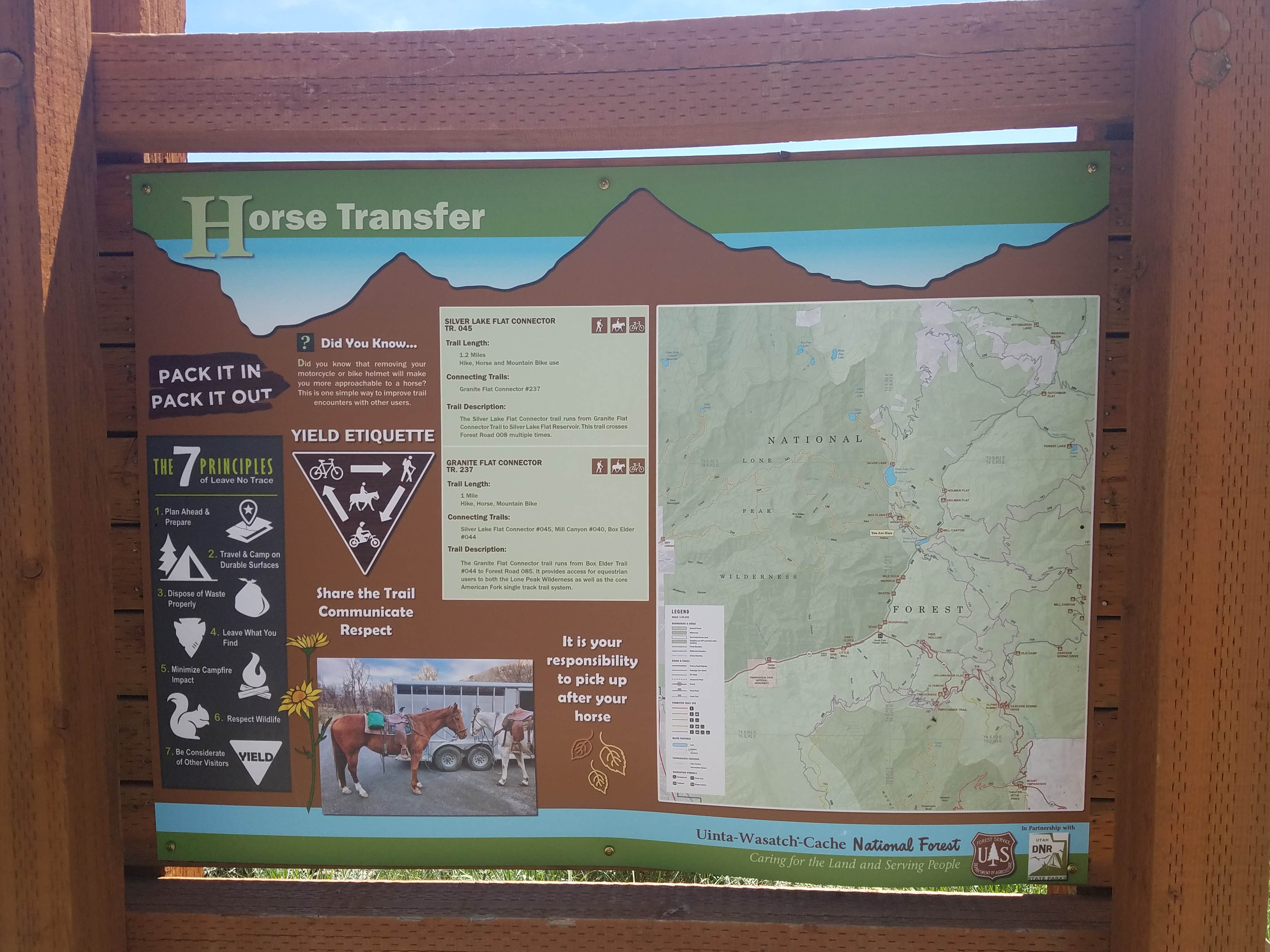 Camper submitted image from Horse Transfer Camp - 4