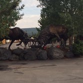 Review photo of Yellowstone Grizzly RV Park and Resort by Shannon G., July 31, 2019
