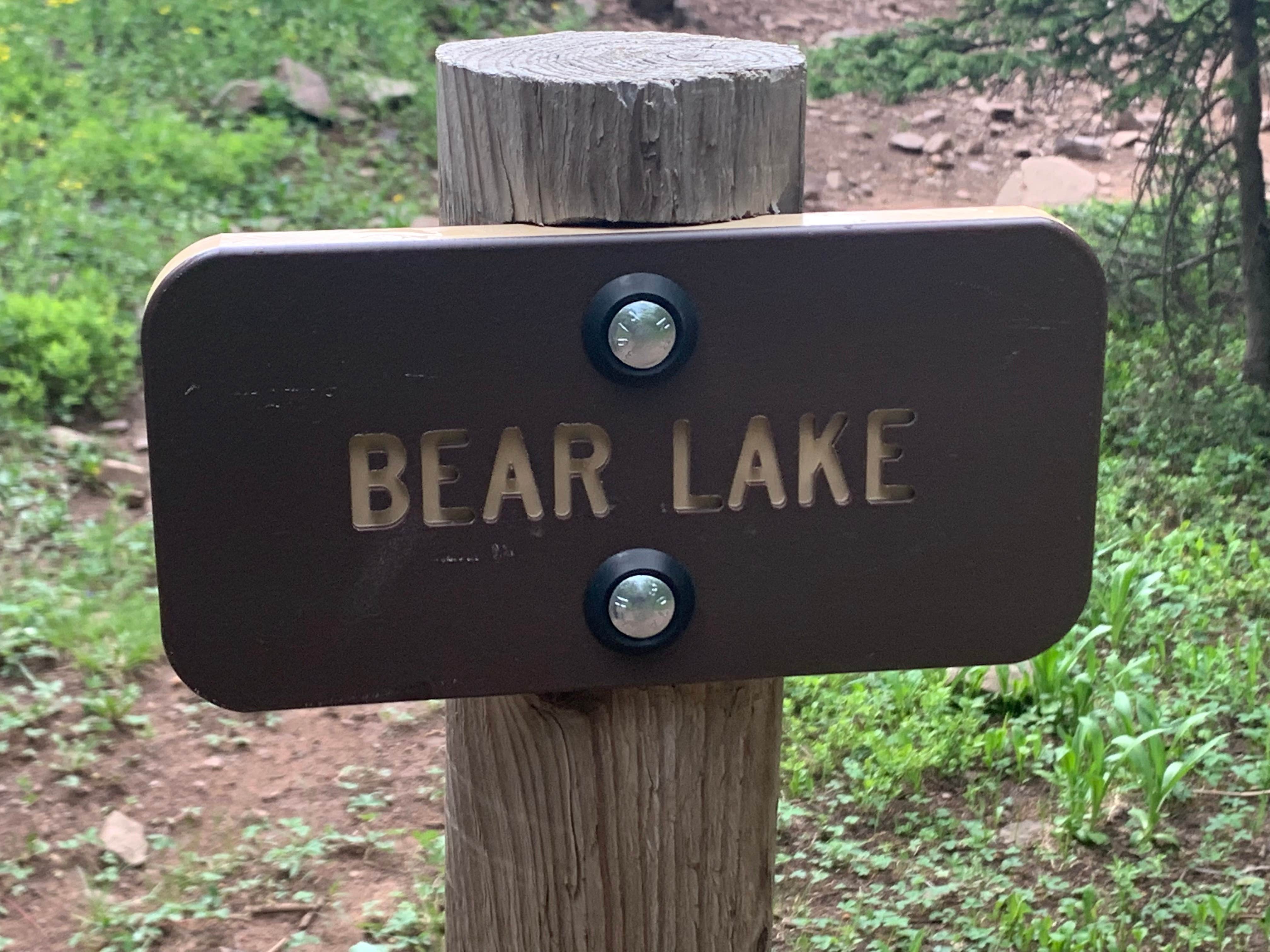 Camper submitted image from Bear Lake Campground (CO) - 4