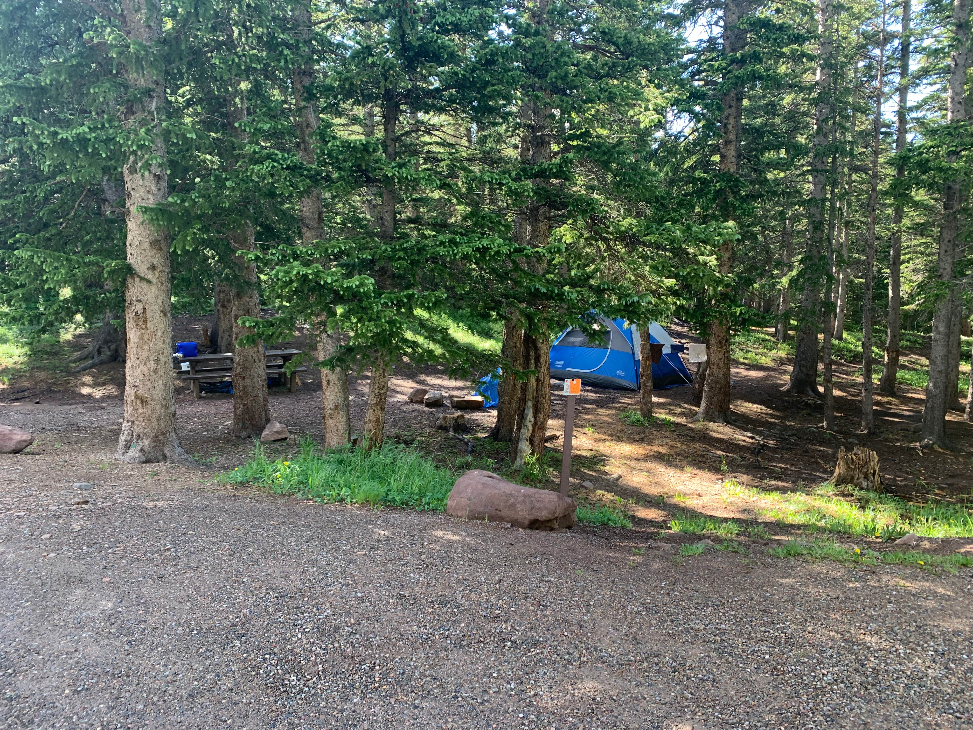 Steve & Ashley  G.'s photo at Bear Lake Campground (CO) near La Veta, CO