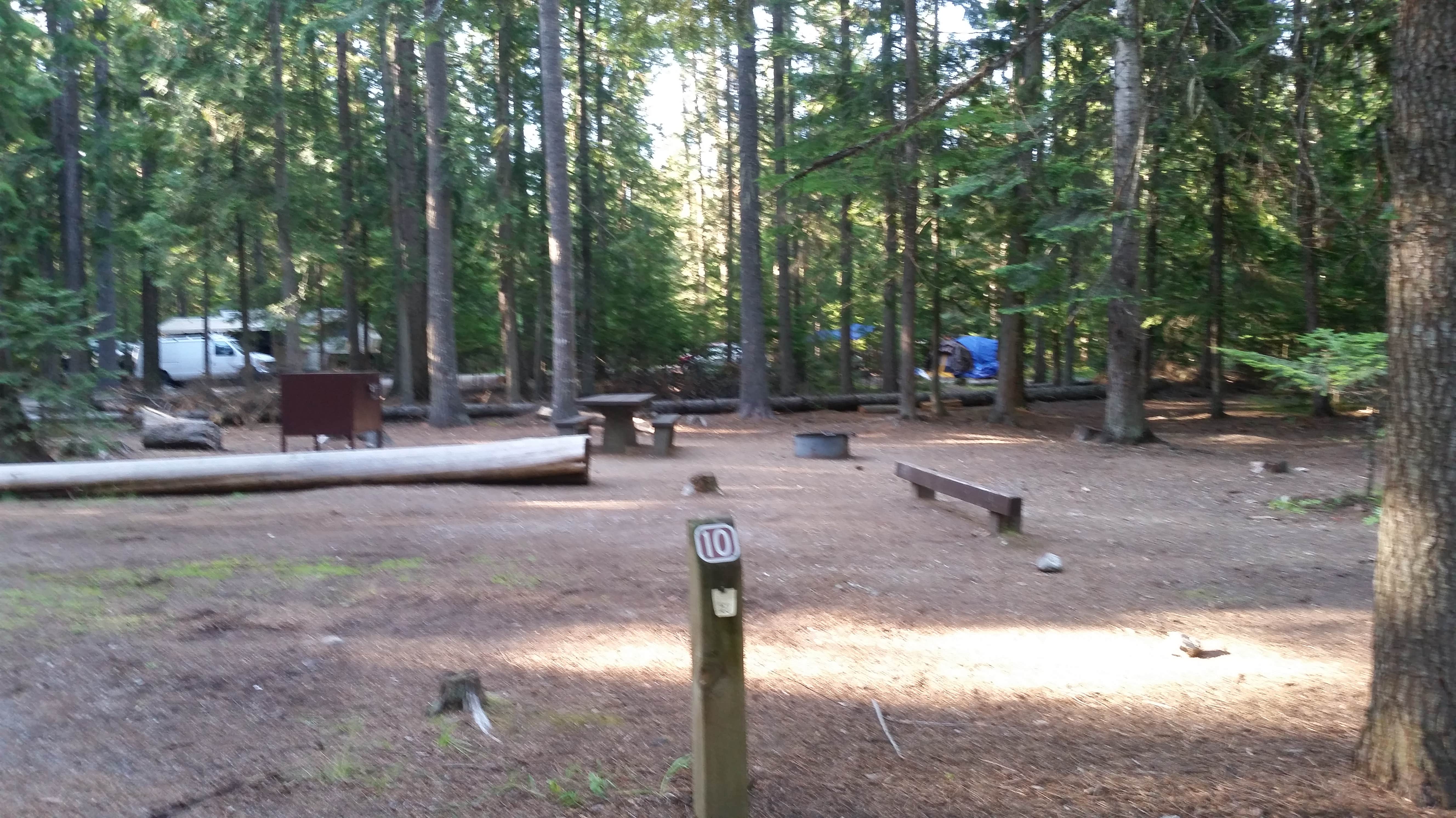 Site 10
