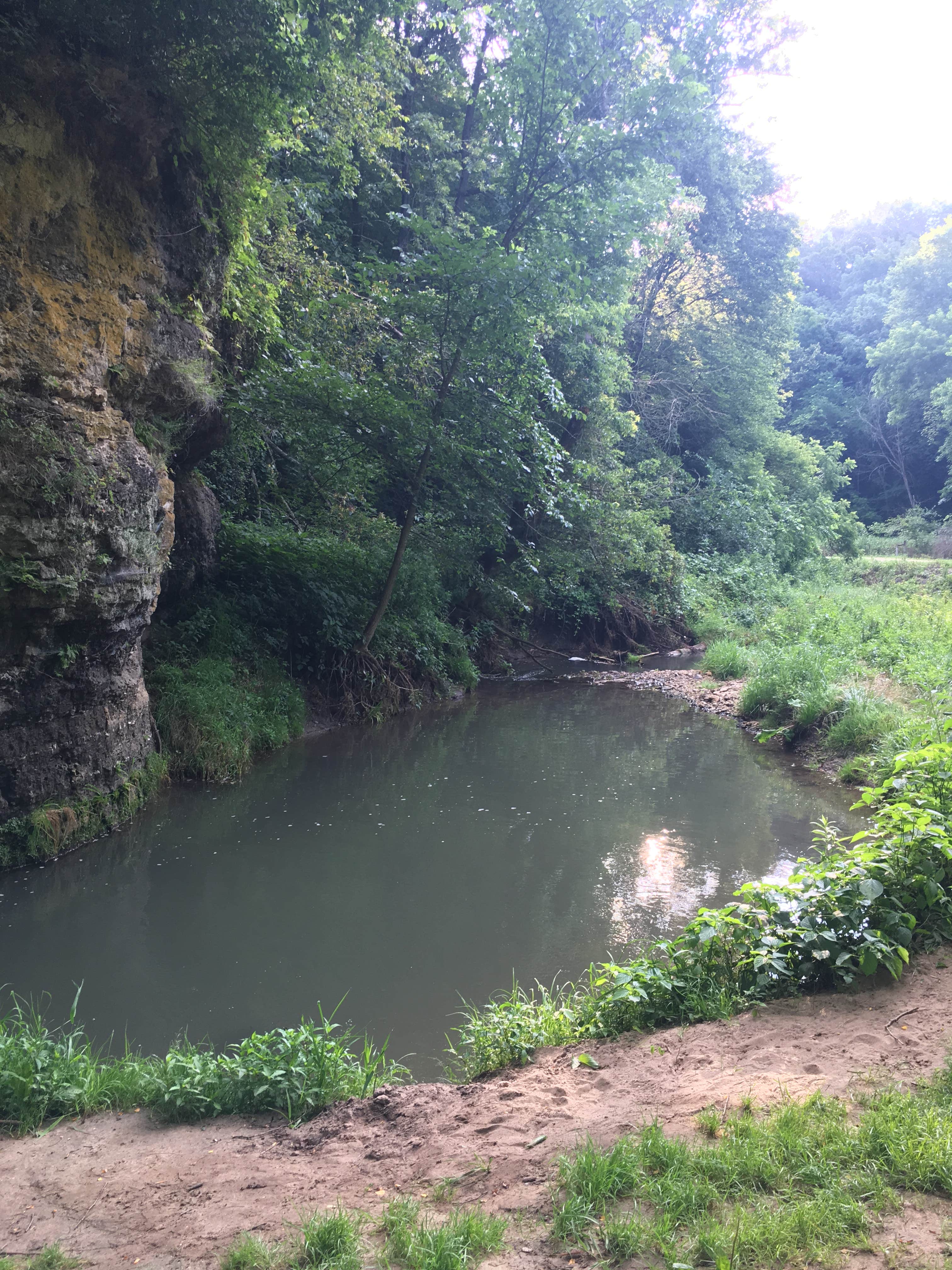 Camper-submitted photo at Fountain Springs County Park near Dundee, IA