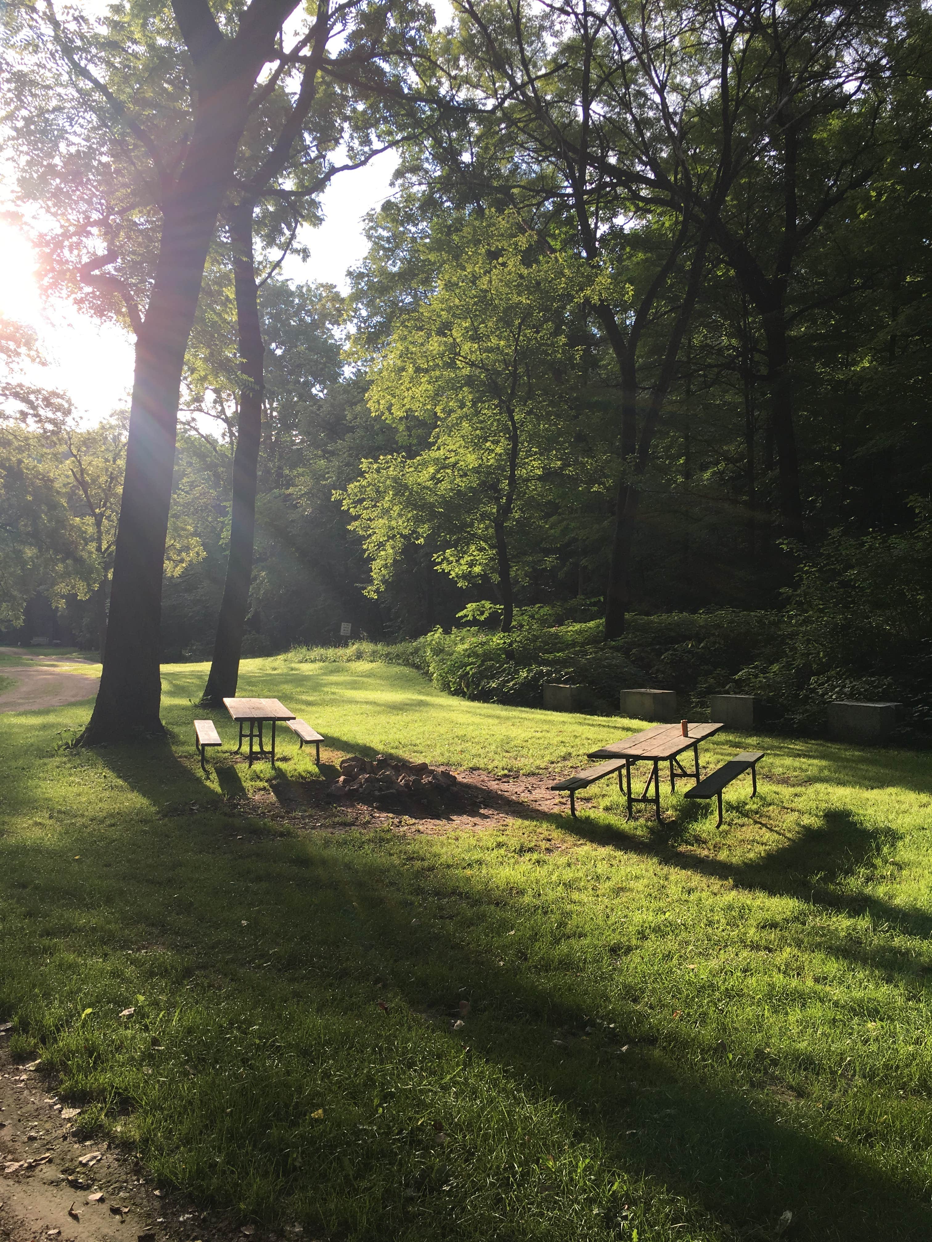 Camper submitted image from Fountain Springs County Park - 3