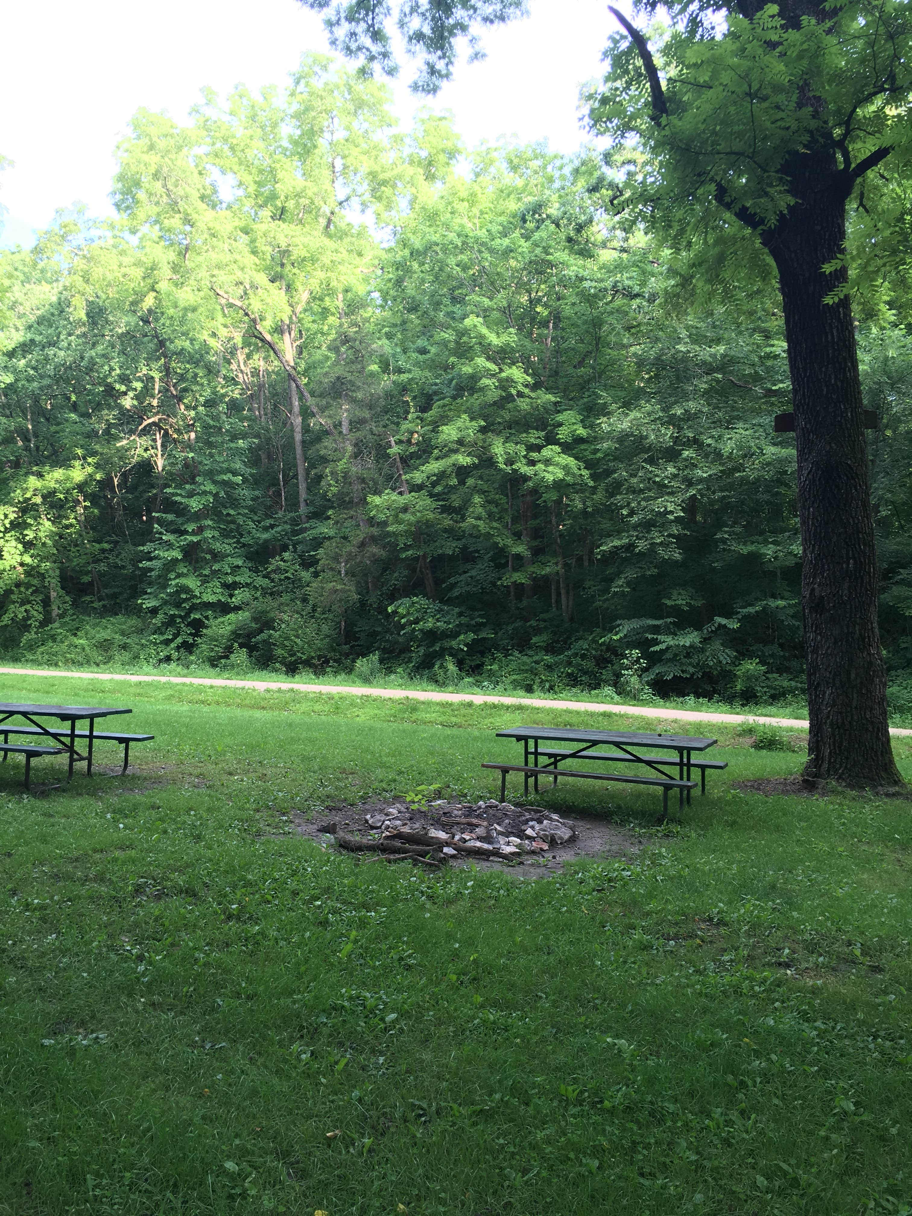 Picnic tables and fire pits in what I think is a group camping area