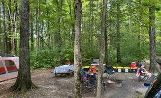 Lauren E.'s photo at Shakamak State Park Campground near Marshall, IL