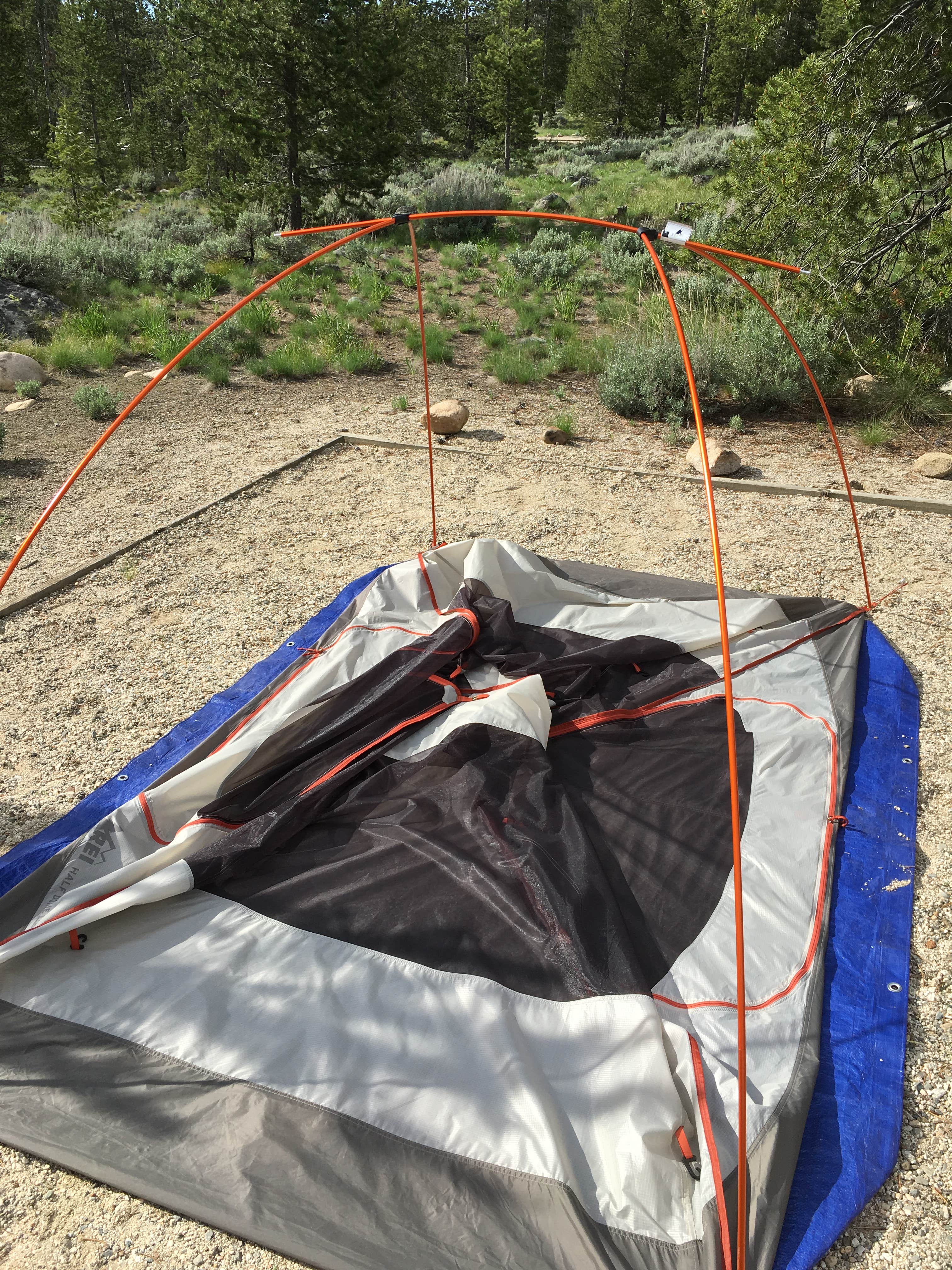 Camper submitted image from Sunny Gulch Campground - 4