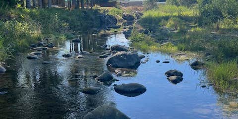 Camper submitted image from Dungeness Island