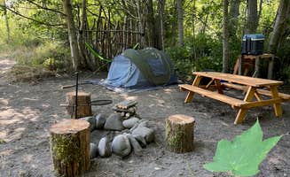 Robin R.'s photo of tent camping at Dungeness Island near Edmonds, WA