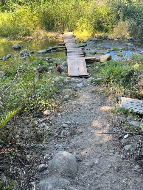 Robin R.'s photo of camping with pets at Dungeness Island near Port Angeles, WA
