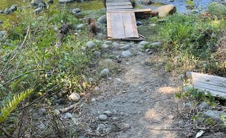 Robin R.'s photo of camping with pets at Dungeness Island near Port Angeles, WA