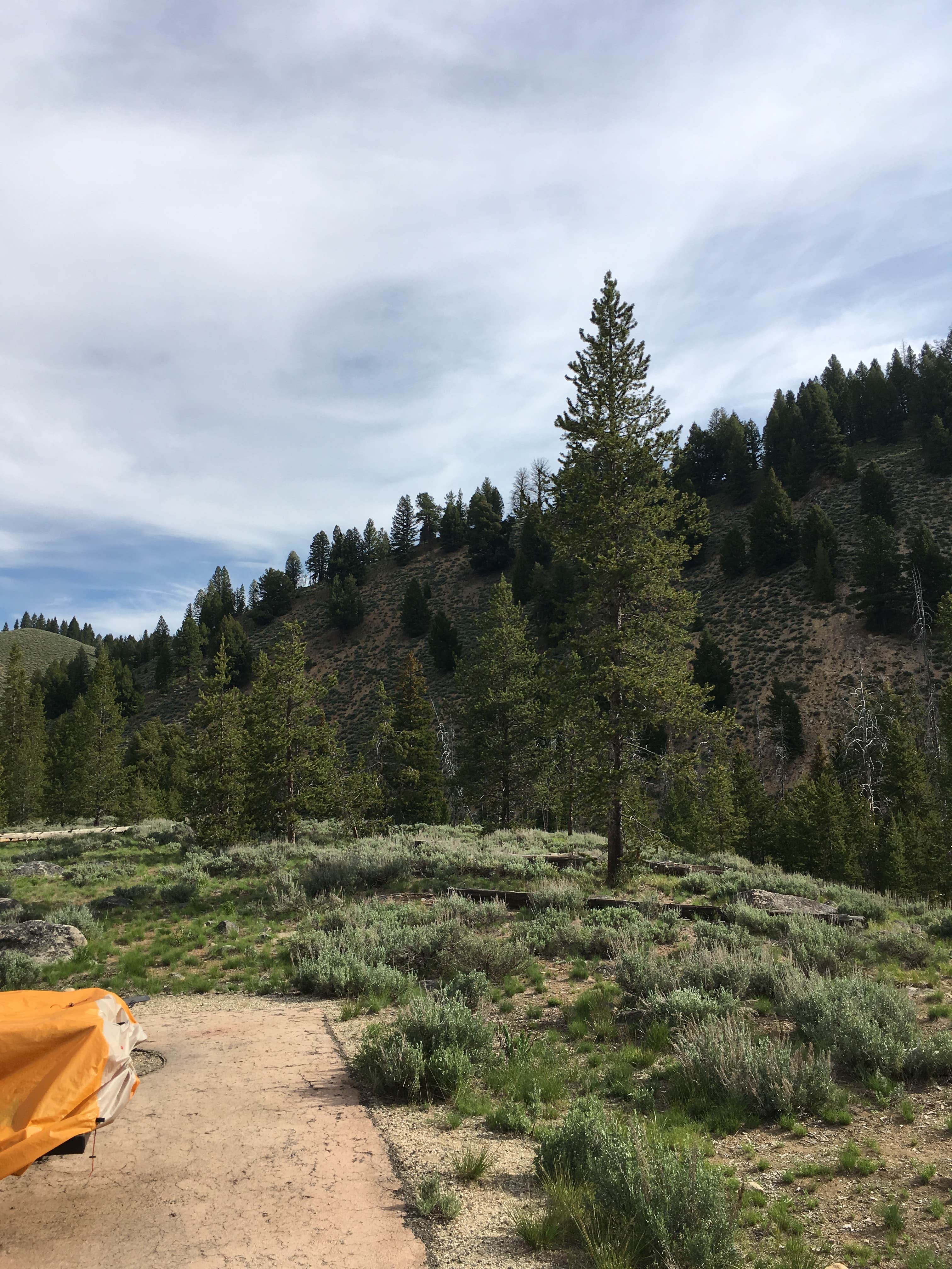 Annie C.'s photo at Sunny Gulch Campground near Stanley, ID