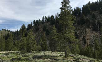 Annie C.'s photo at Sunny Gulch Campground near Stanley, ID