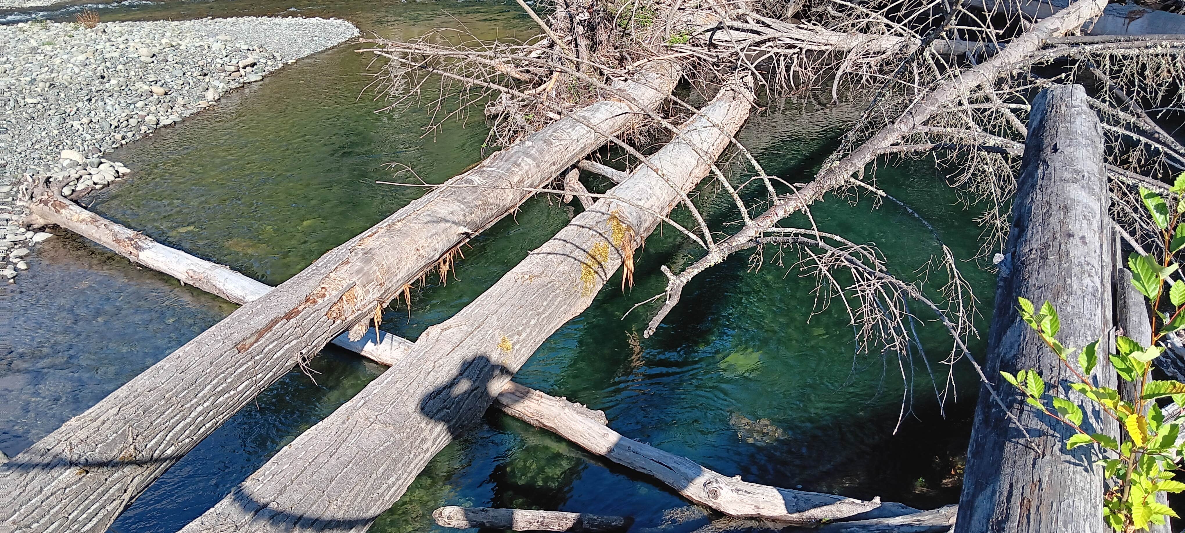 Camper-submitted photo at Dungeness Island near Sequim, WA