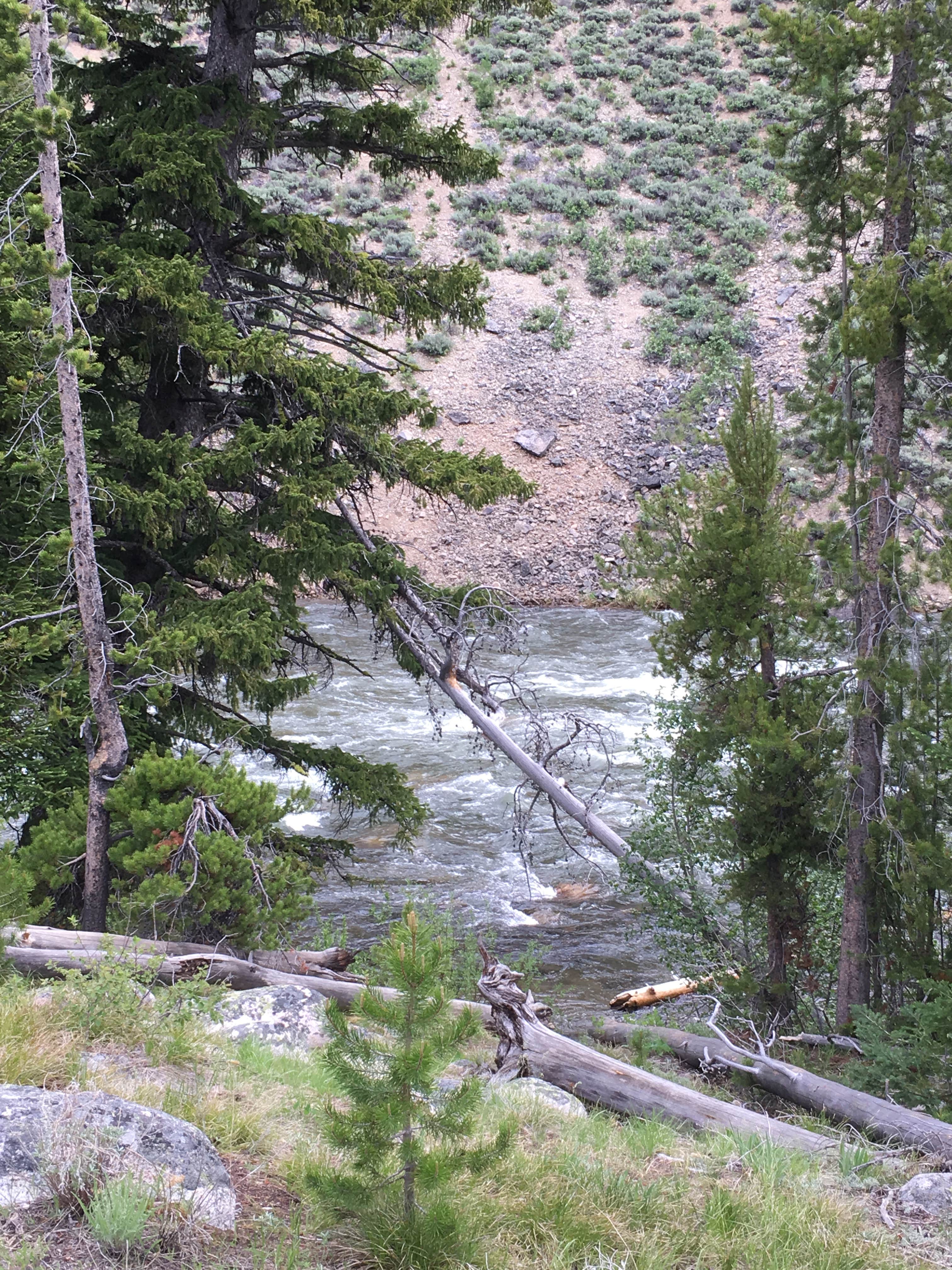 This view was a short walk down the hill from my site