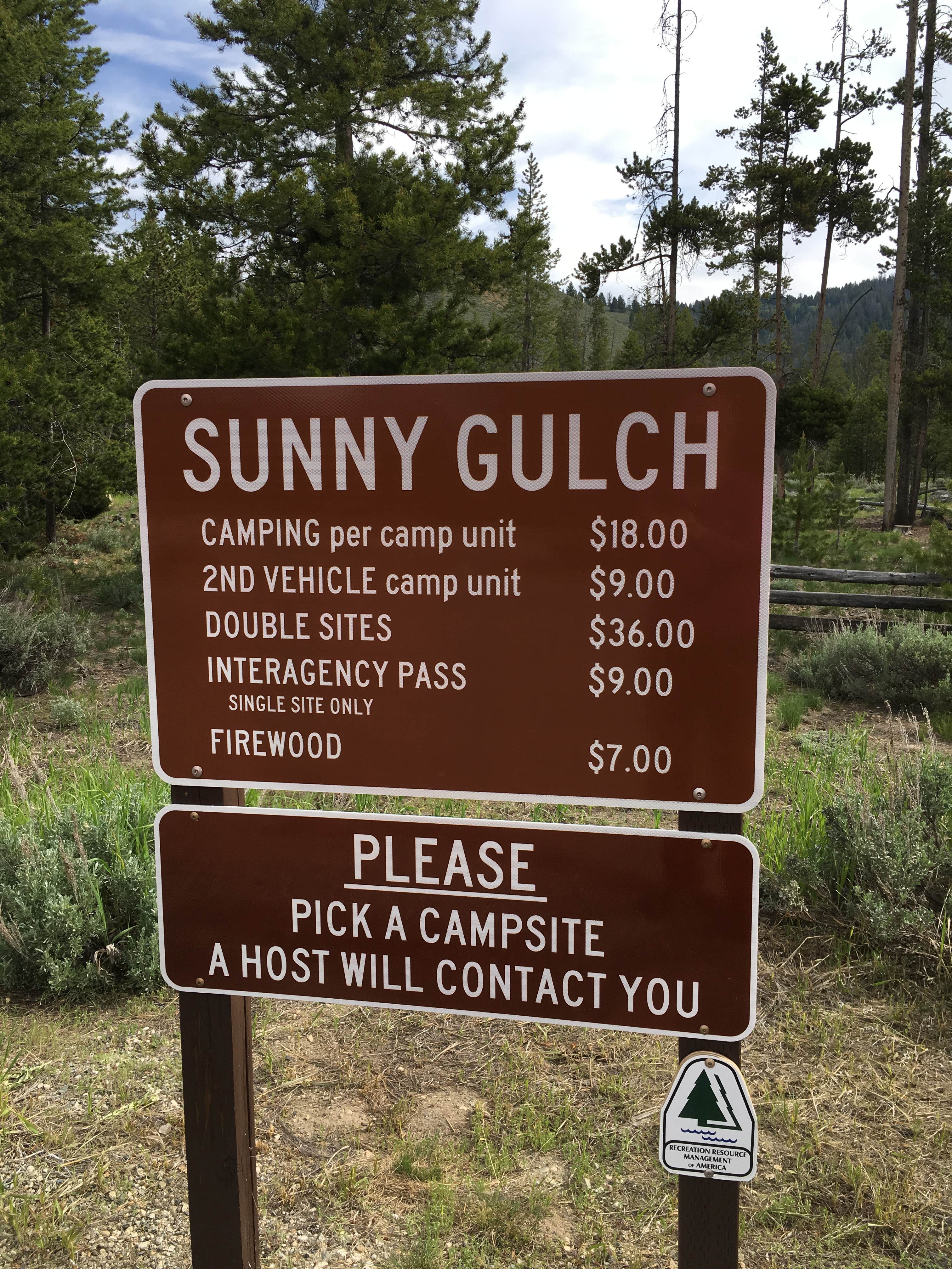 Camper submitted image from Sunny Gulch Campground - 5