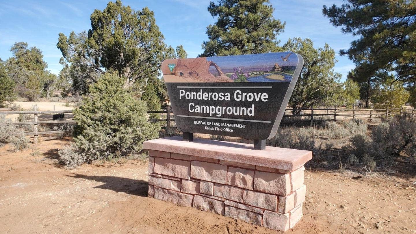 Camper submitted image from Ponderosa Grove Campground - 1