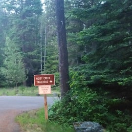 Noisy Creek Trailhead sign