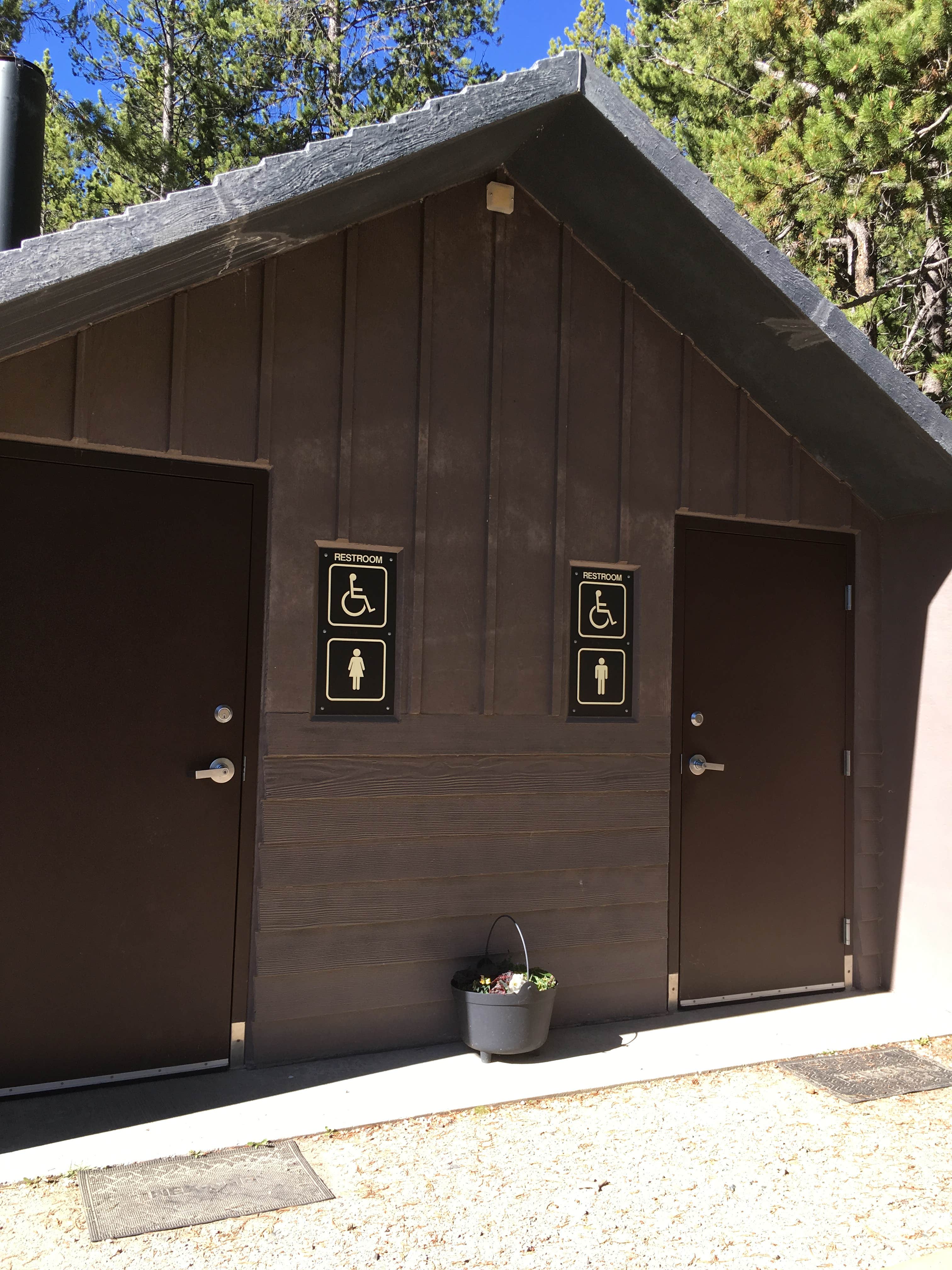 Super clean vault toilet with flowers to keep it pretty
