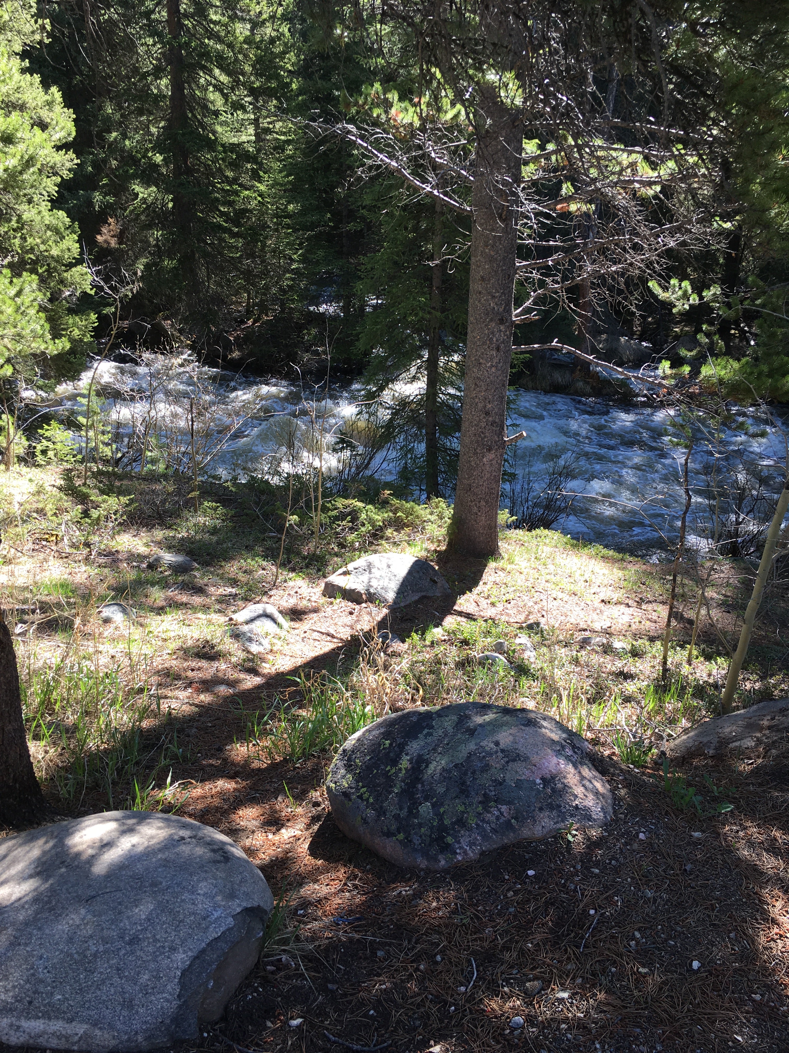 West Tensleep Creek can be heard throughout the campground