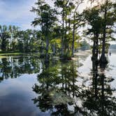 Review photo of Florida Caverns RV Resort by S F., August 23, 2025
