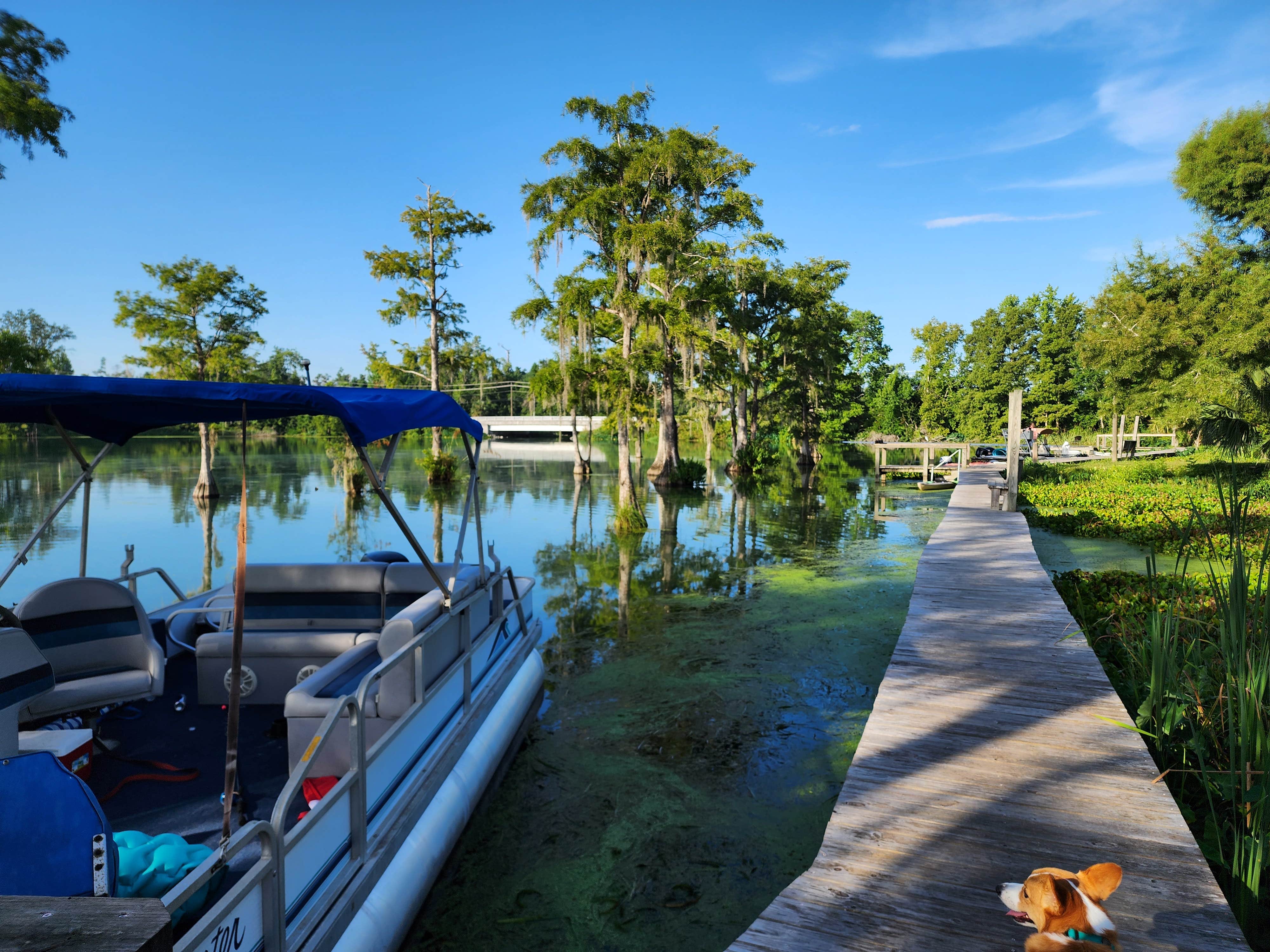 S F.'s photo of camping with pets at Florida Caverns RV Resort near Dothan, AL