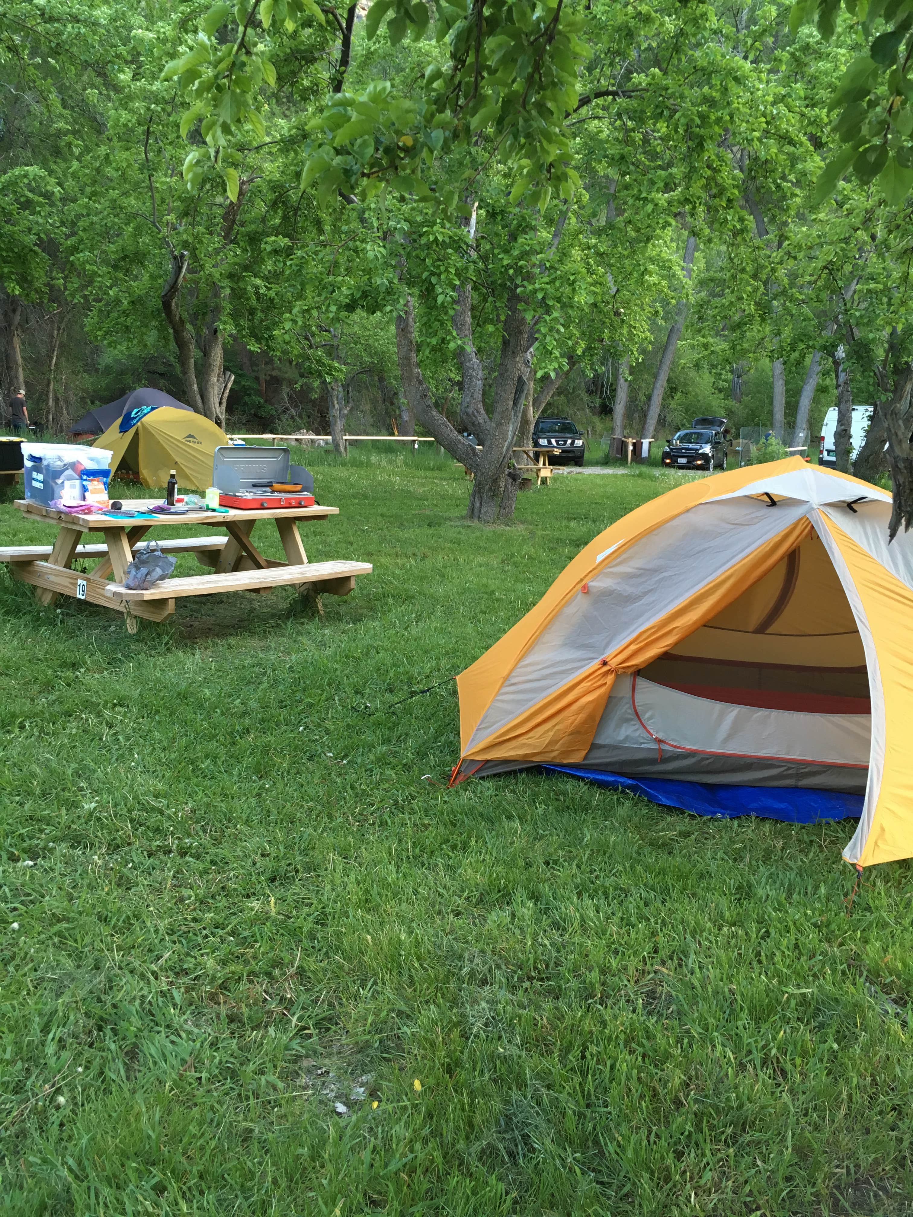 Annie C.'s photo of tent camping at Ten Sleep Rock Ranch near Wolf, WY
