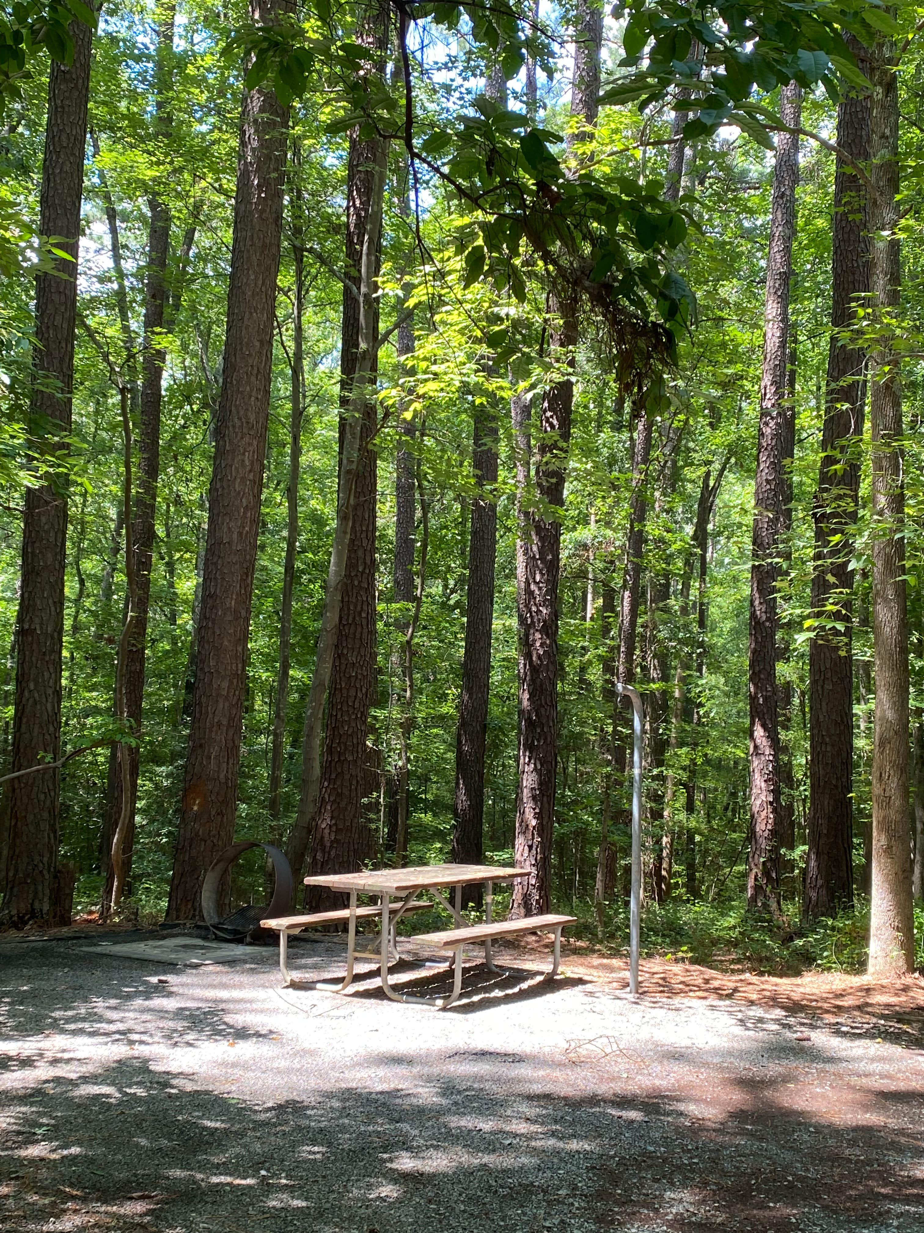 Camper submitted image from Jordan Lake Crosswinds - 2