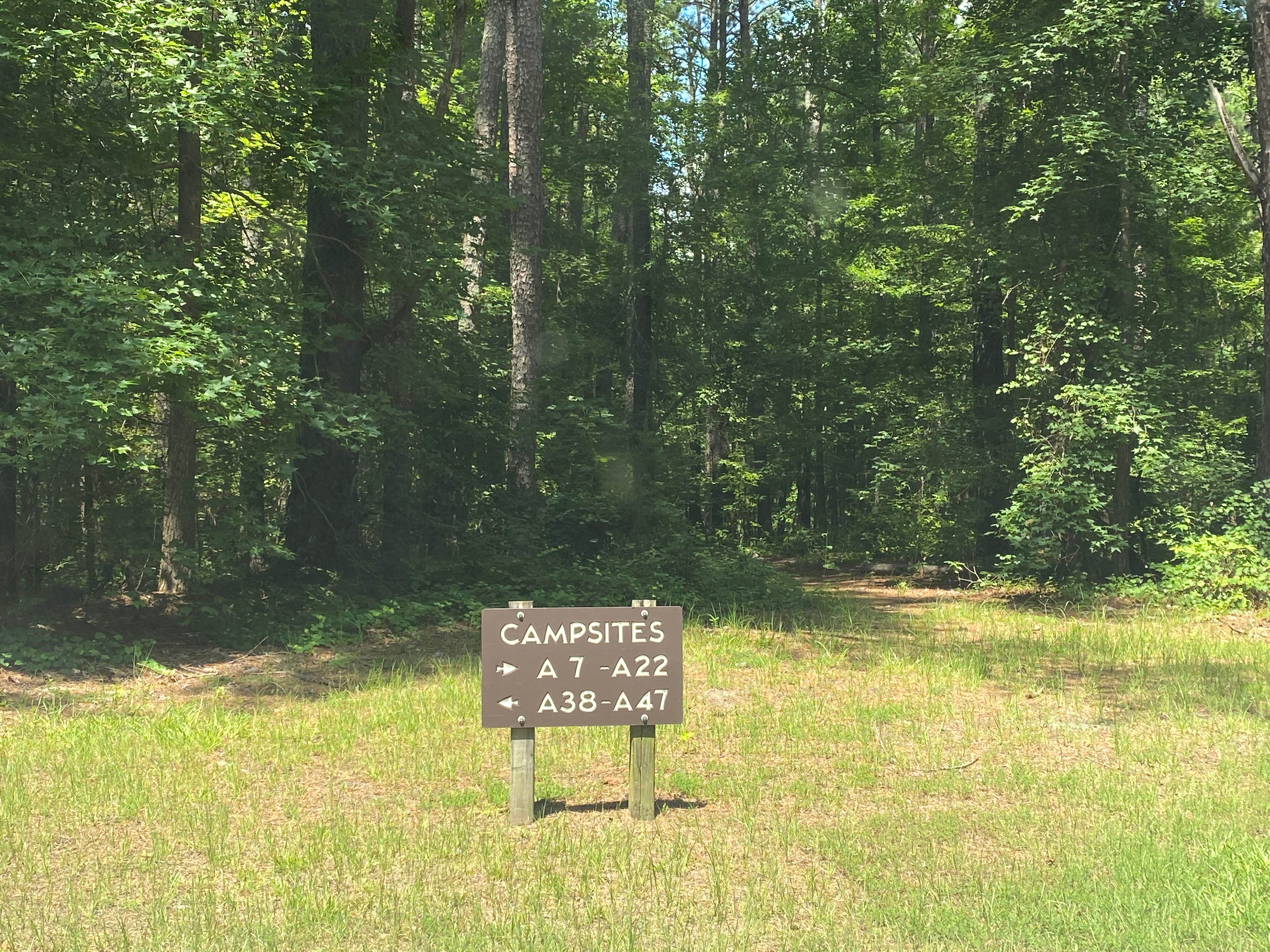 Camper submitted image from Jordan Lake Crosswinds - 3