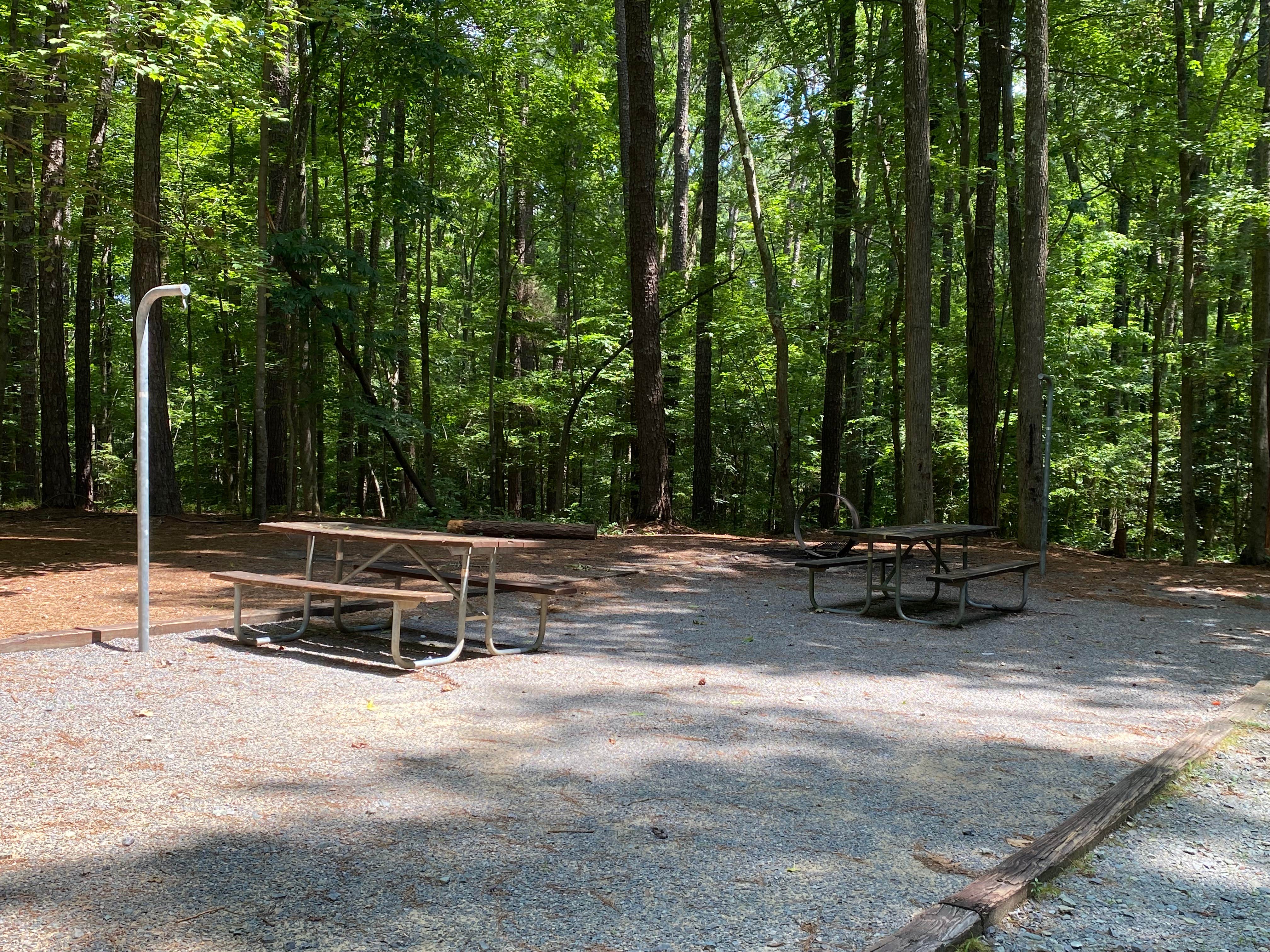 Camper submitted image from Jordan Lake Crosswinds - 5