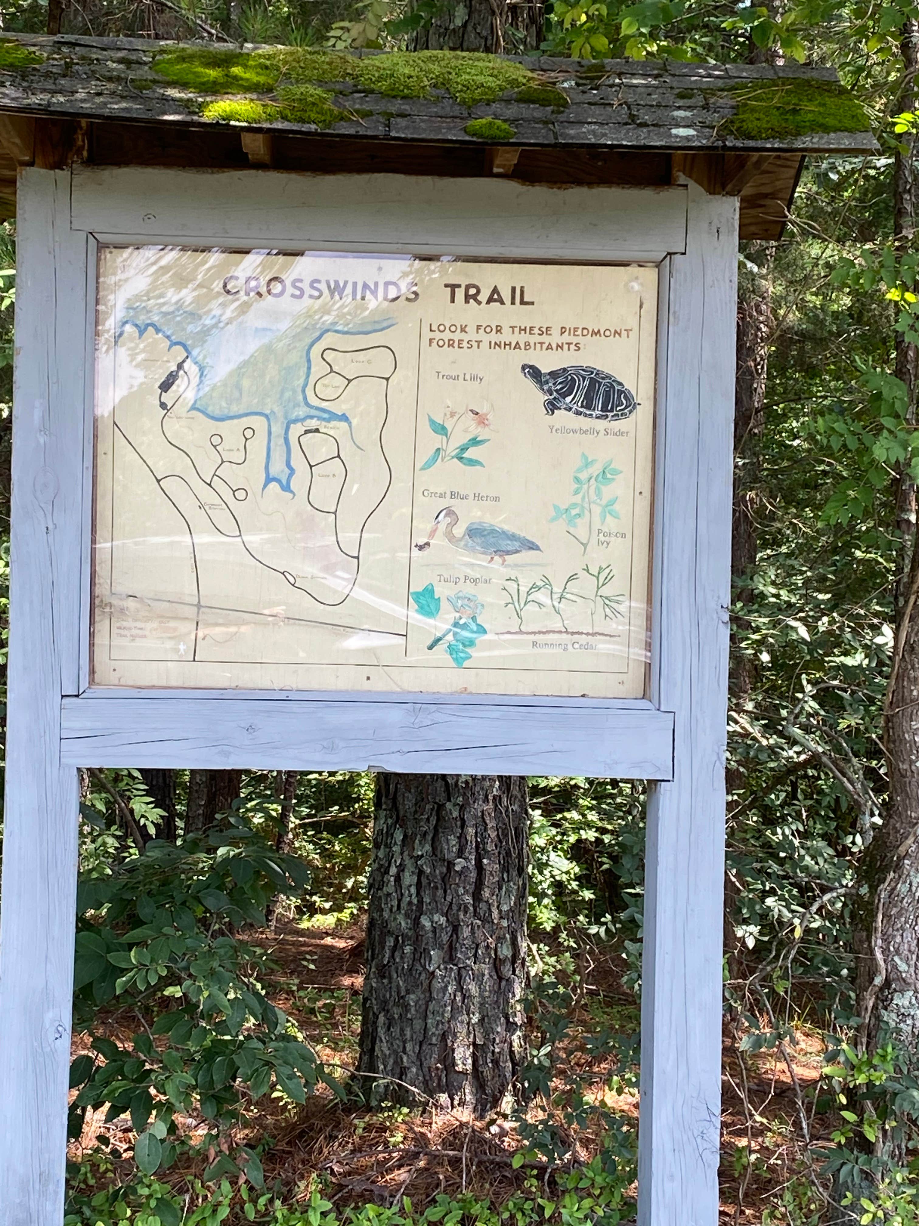 Camper-submitted photo at Jordan Lake Crosswinds near B. Everett Jordan Lake