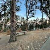 Review photo of Anthony Chabot Regional Park by Twindaddy , August 24, 2025